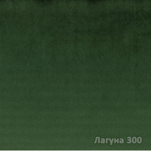 Лагуна-300