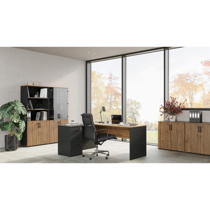 Стіл керівника Джуріан Лівий