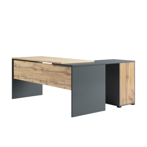 Стіл керівника Джуріан Лівий